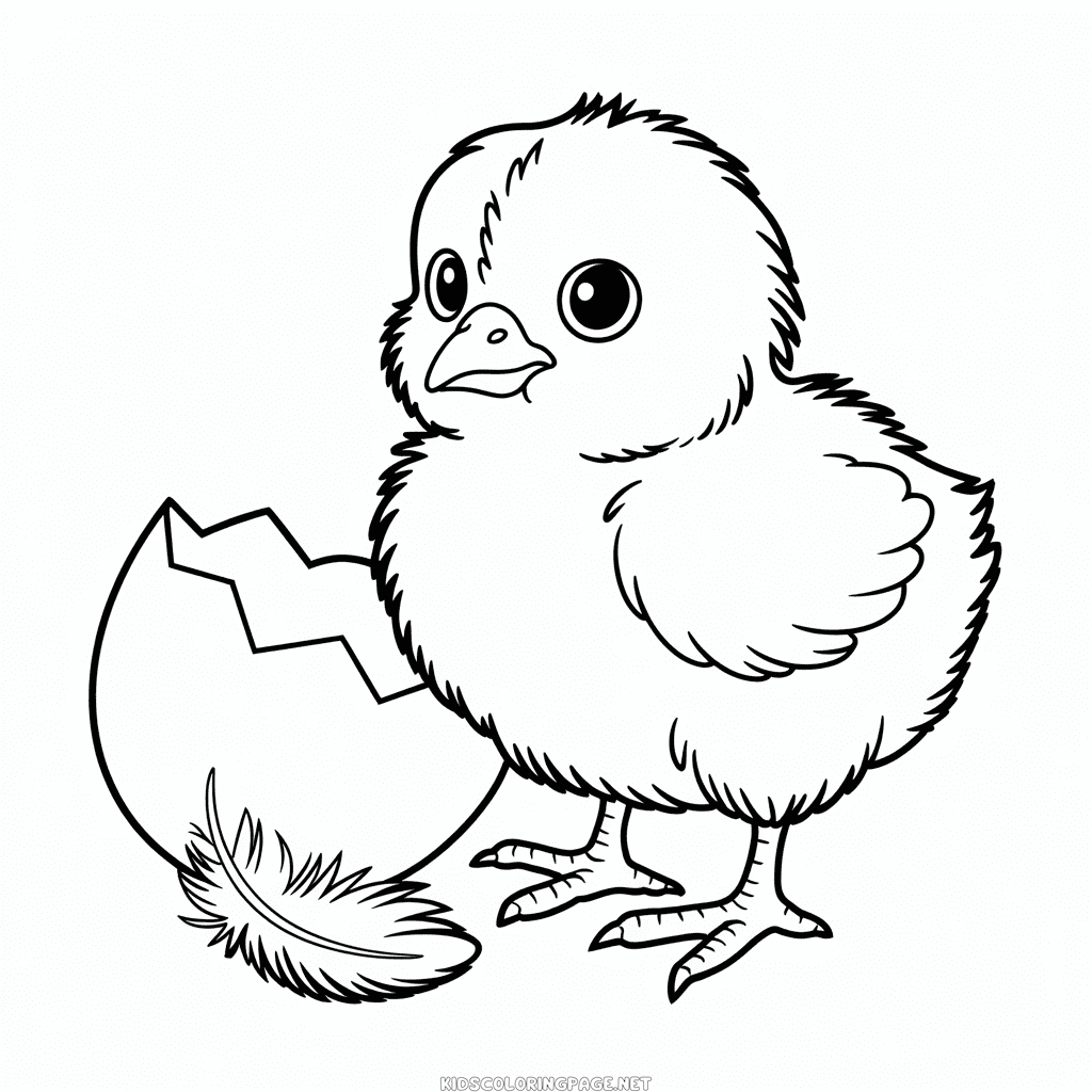 Baby Chick Coloring Page