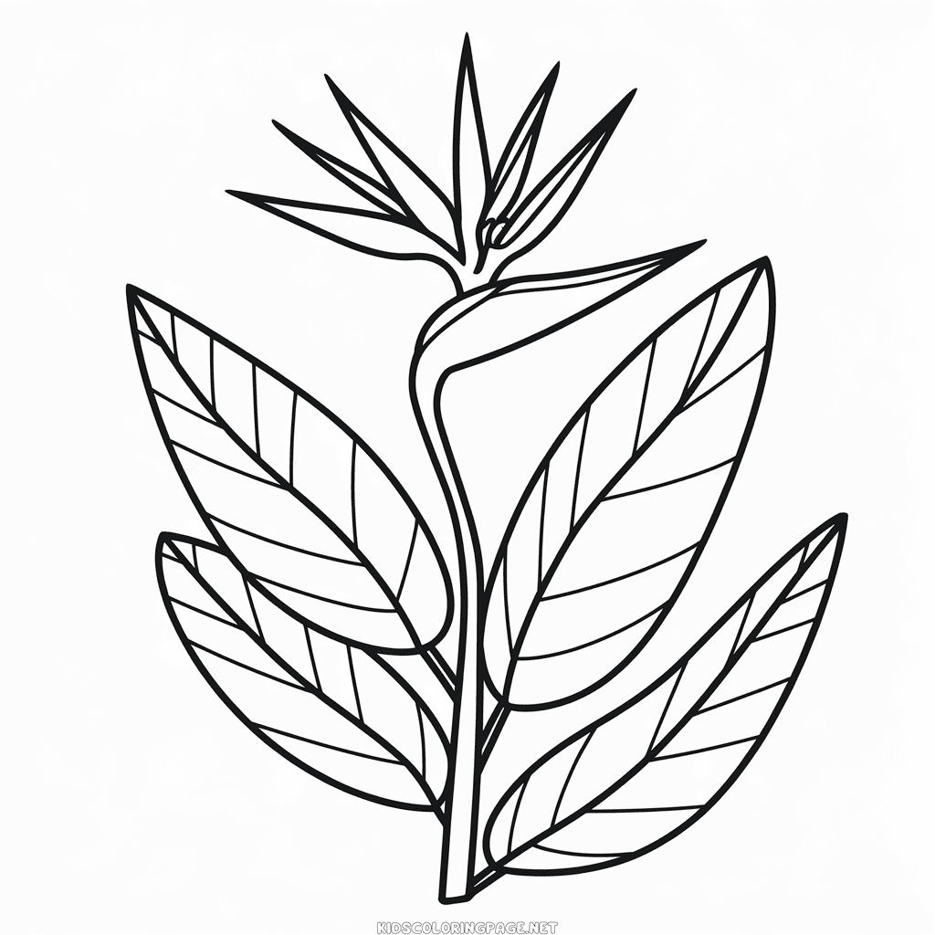Bird of paradise flower coloring page