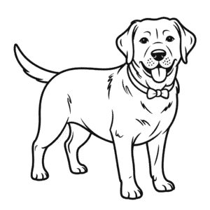 Black Labrador Dog Coloring Page