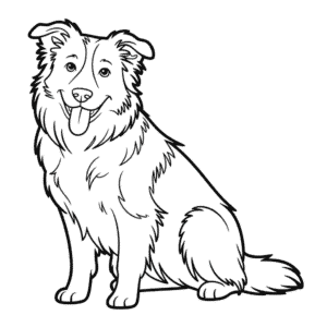 Border Collie Dog Coloring Page