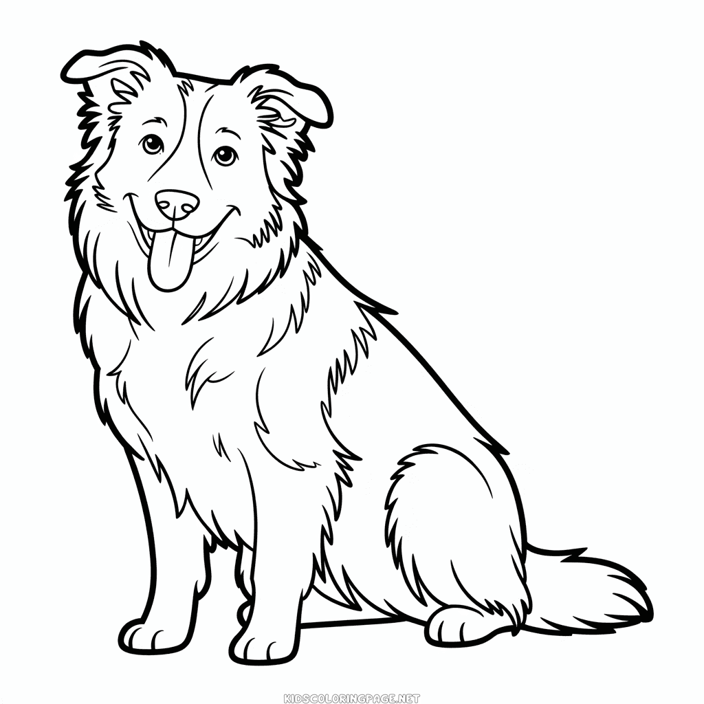 Border Collie Dog Coloring Page