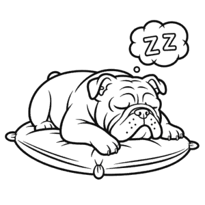 Bulldog Coloring Page