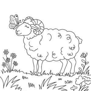 Adult Sheep Coloring Page