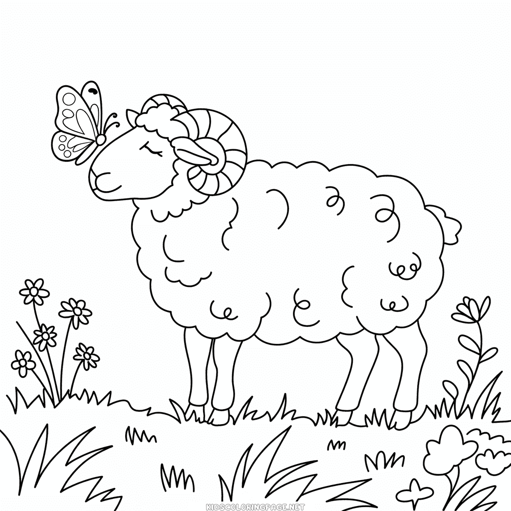 Adult Sheep Coloring Page