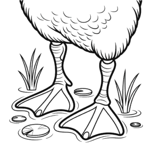 Duck Feet Coloring Page