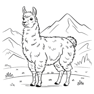 Realistic Llama Coloring Page