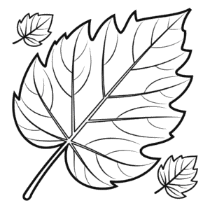Fall Leaf Coloring Page