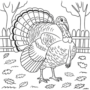 Picture of Turkey Coloring Page